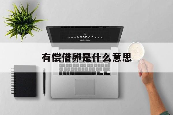 2025年最新有偿借卵是什么意思推荐(今日分享莫衷一是什么意思)